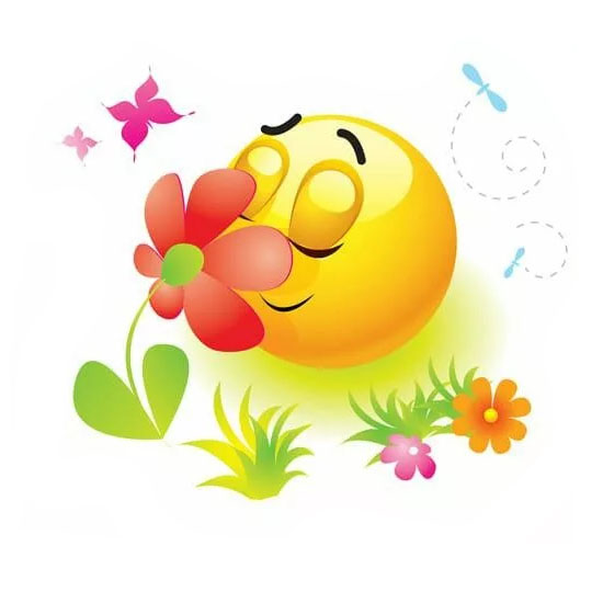 Натуральные растительные ароматы 